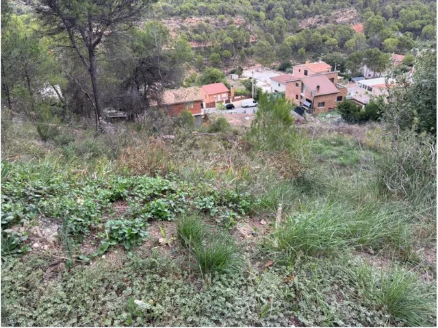 ¡Oportunidad Única en Les Garrigues – La Pobla de Claramunt! — 5