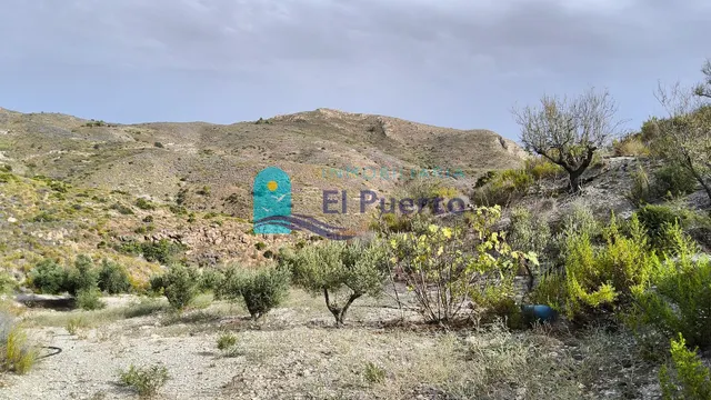 TERRENO RUSTICO CON CASA EN RUINA PARA REFORMAR — 6