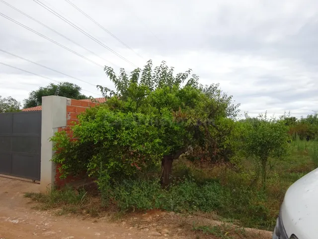PARCELA EN TERMINO DE ALMAZORA - foto 3