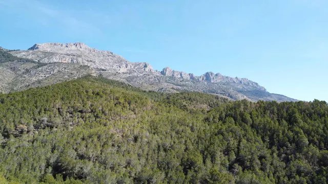 Villa 3 habitaciones 200m² en venta - Altea la Vella — 42