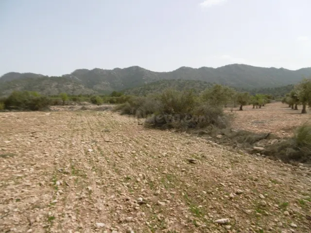 Parcela en venta - Ayuntamiento - foto 2