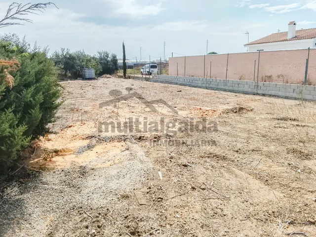 TERRENO RÚSTICO PROINDIVISO EN PAGO COPINA - foto 3