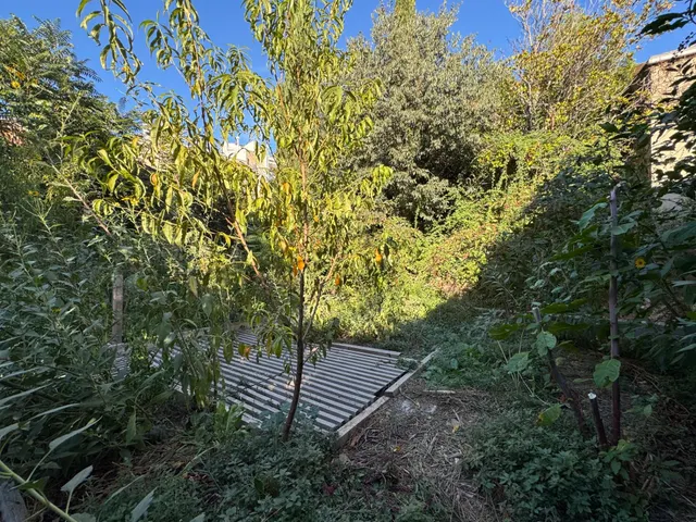Nave en zona urbana con 264 m2 y con jardín de 114 m2 orientado al sur, garaje y gran potencial como estudio profesional. — 27