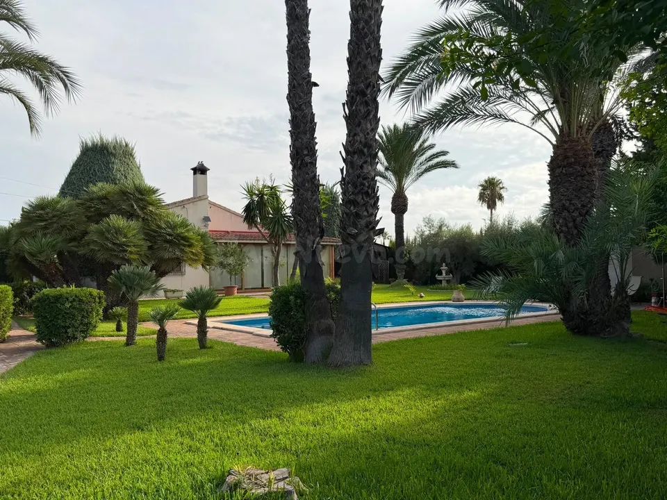 Alquiler Chalet con piscina en alquiler en Elche, zona Valverde.