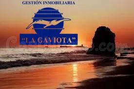 PARCELAS EN LA BARROSA (SEGUNDA PISTA) - foto 4