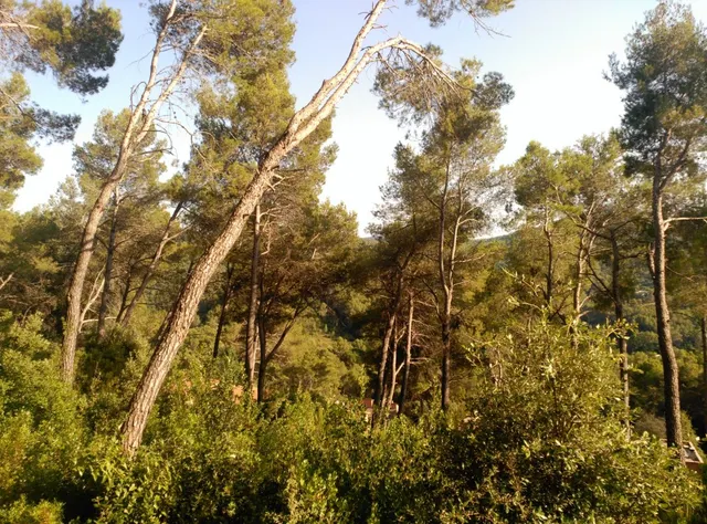 Espectacular terreno que da a dos calles, en Corbera de Llobregat, cerca Hotel Can Fisa. — 33