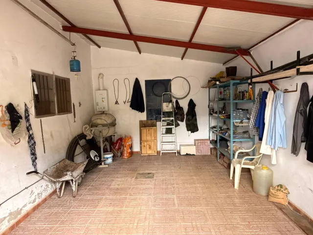 Finca rústica de 26 ha con 3.000 olivos ecológicos, cortijos