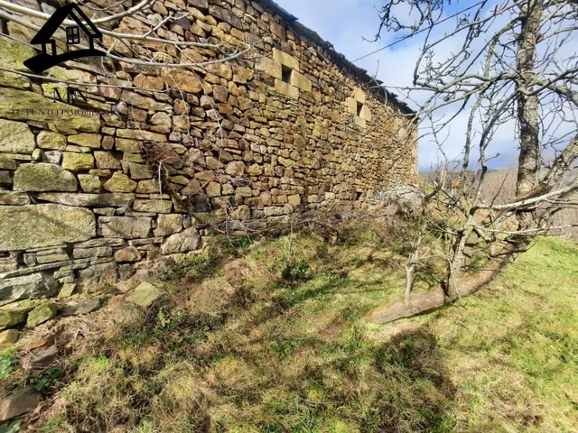 VENTA DE CABAÑA Y FINCA EN SAN PEDRO DEL ROMERAL - foto 3