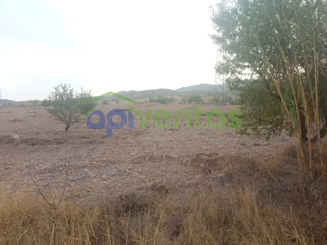 Terreno a 200 metros de la area de servicios EL LIMITE - foto 4