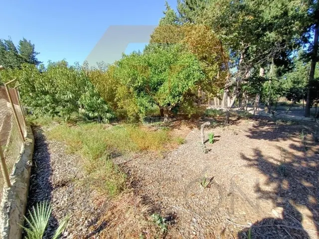 SE VENDE NAVE Y CASA CON PARCELA PARA REFORMAR O DERRIBAR EN