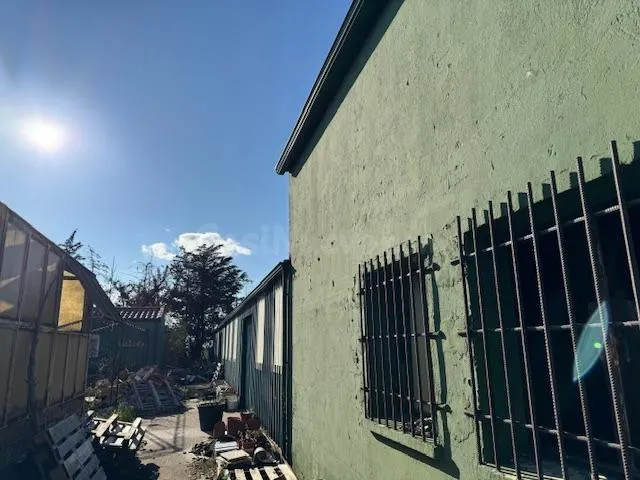 FINCA CON POZO, CONTRUCCIONES Y VIVERO EN LA RECTA DE CORESE - foto 2