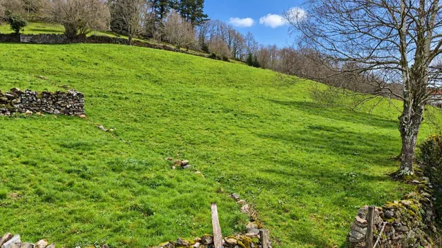 Exclusiva finca rústica de 3.899 m2 con proyecto de vivienda y autorización favorable de la crotu en sel de la carrera .- — 8