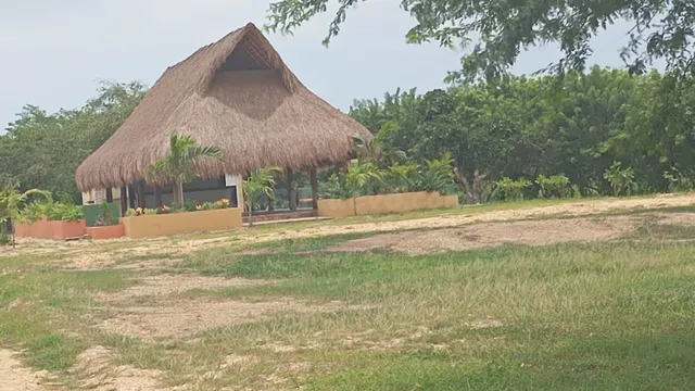 Parcela en venta - Bayunca - foto 2