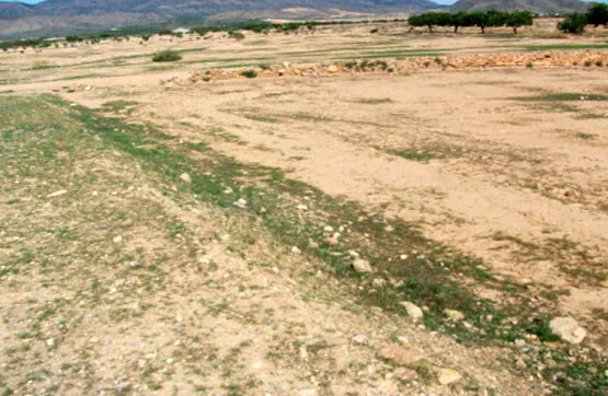 Parcela en alquiler - Los Almagros - Los Paganes - El Escoba - foto 5