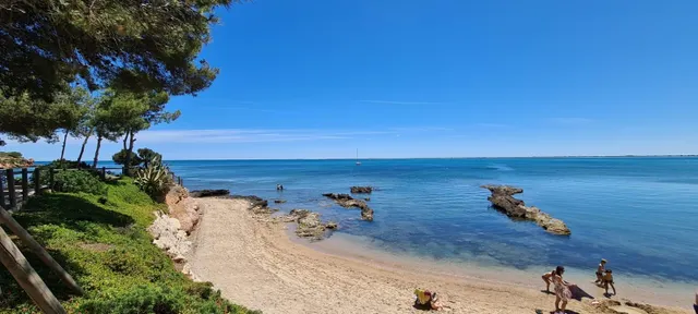 Finca Rústica de 17.689 M2, plana, con caseta de aperos de 25 M2 — 6