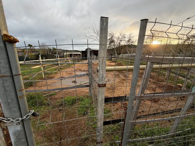Huertos rentables en explotación | 22.000 € anuales de ingre - foto 4