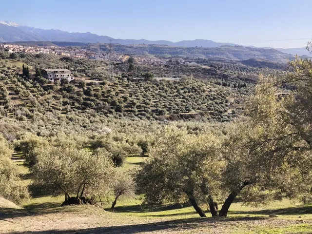 Terreno rural en venta - Sierra de huetor y la alfaguara — 12