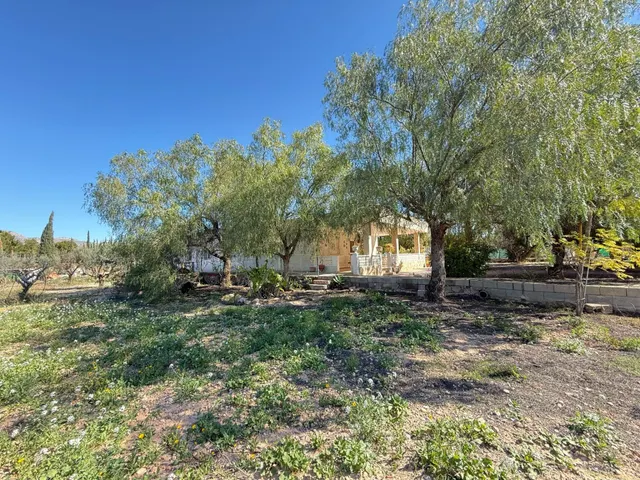 Encantador Chalet en Crevillente con Amplio Terreno y Piscina Propia — 23