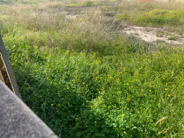 Exclusiva Parcela de 250 metros en La Torreta, Elche — 11