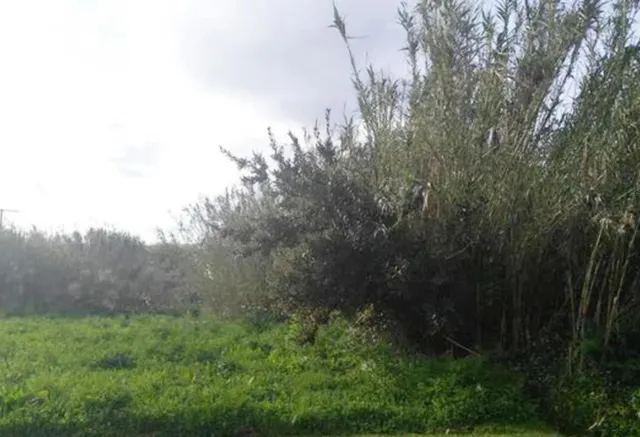 Conjunto de parcelas en venta en Fuente Santa, Pontevedra — 2