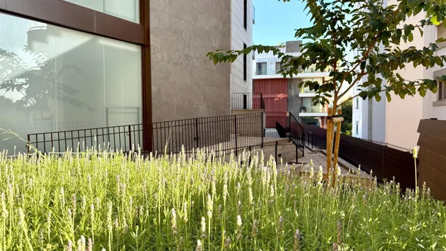 PLANTA BAJA A ESTRENAR EN SON DAMETO CON 235 M2 DE TERRAZA PRIVADA Y PISCINA COMUNITARIA — 22