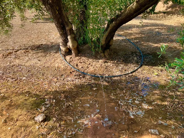 ALBOLOTE - PANTANO CUBILLAS — 49