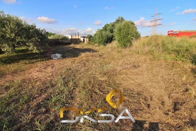 Terreno rústico con 242m2 en la calle Molí Nou de Vila-real - foto 3
