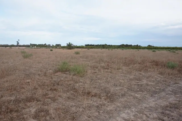 AMPLIA PARCELA DE 13000 M2 ZONA DE LA HOYA — 7