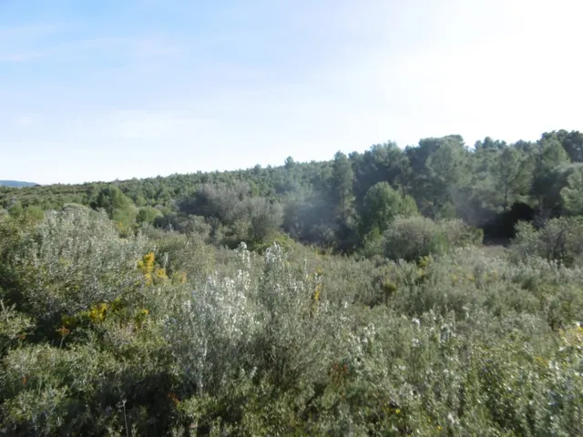 MASIA PARA REFORMAR  CON ALMACENES EN UNA FINCA DE 10 HECTÁREAS — 25