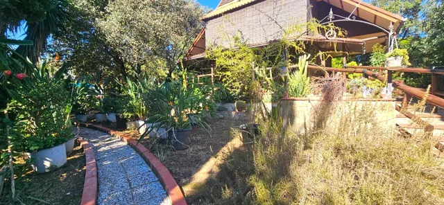 Finca rústica en Alcolea del Río con piscina, placas solares y 5.000 m2 — 12