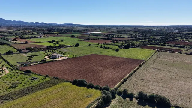 Finca rústica en Manacor con proyecto de ejecución — 16