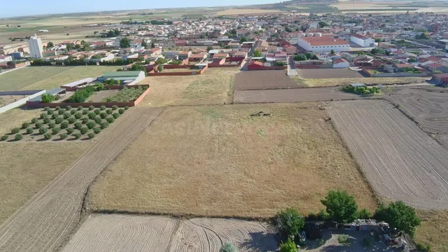 LILLO: Tu refugio en la naturaleza a un paso de este hermoso - foto 3