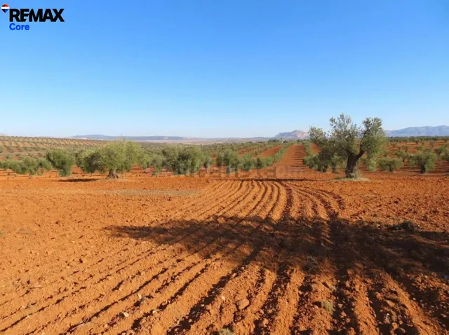 Espectacular Finca de 120 Ha en Tierra de Barros: Máxima Ren