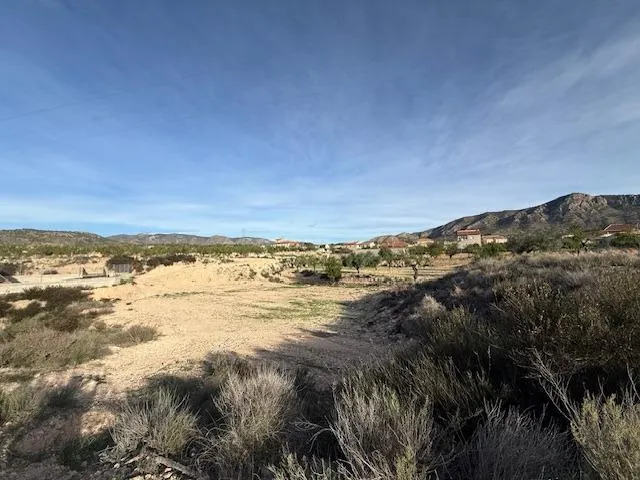 Venta  de terreno en Barinas (Abanilla) — 10