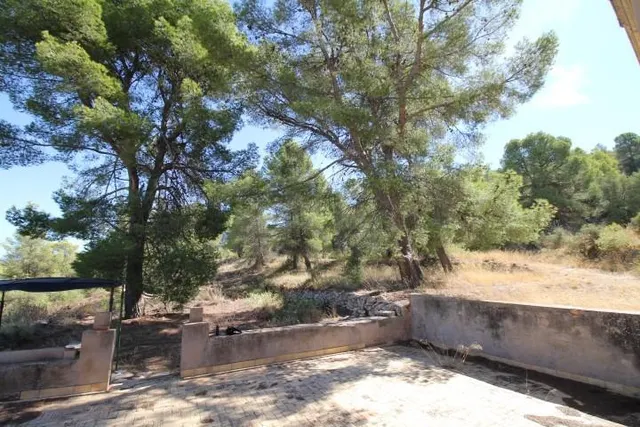 IMPRESIONANTE FINCA DE 30 HECTÁREAS CON TERRENO CULTIVABLE Y VISTAS PANORÁMICAS A VILLENA — 30