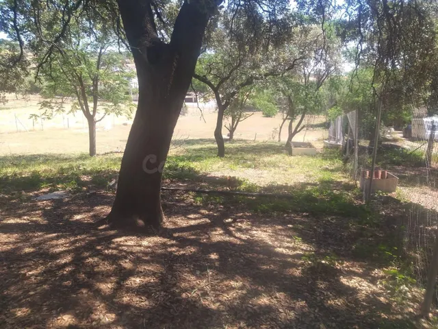 ESPECTACULAR TERRENO EN URBANIZACION EL SOL IDEAL PARA SEGUN - foto 4
