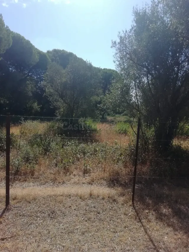 Parcela en la Muela - foto 3