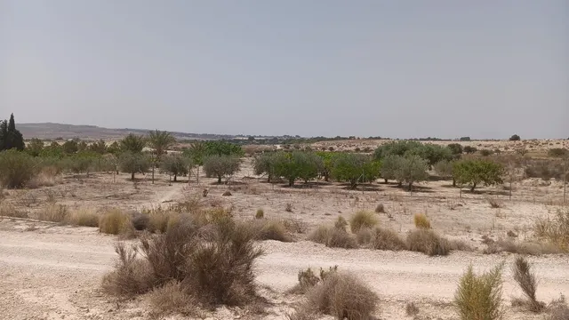 VENTA DE PARCELA EN MOLINA DE SEGURA — 3