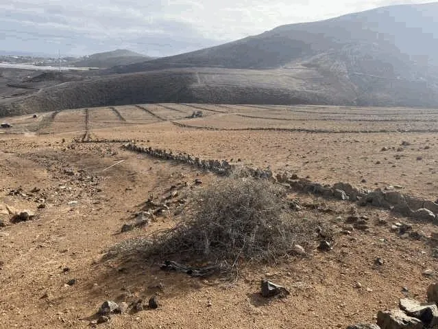 Terreno rural en venta - Barrial - foto 4