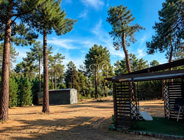 Chalet en venta en Segovia con piscina cubierta y 2.600 m2 — 5