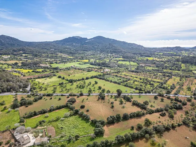 Dos Hectáreas de Terreno urbanizable en Felanitx zona SHorta - Cas Concos des Cavaller — 13