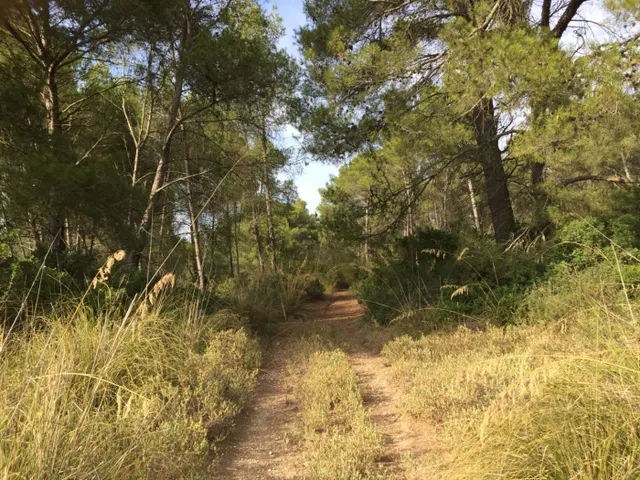 IDEAL FINES DE SEMANA — 7
