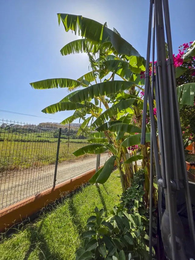 Apartamento 3 habitaciones 129m² en venta - Costa del Sol — 50