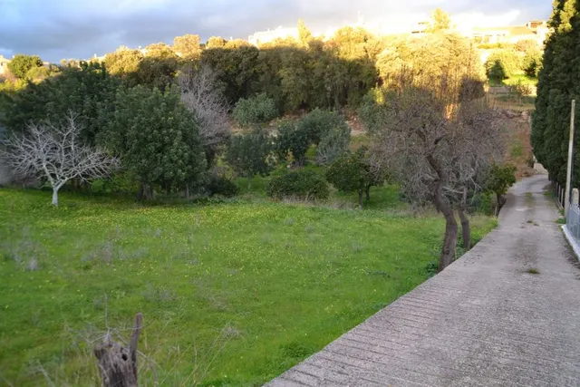 Solar urbanizable en Campanet — 2