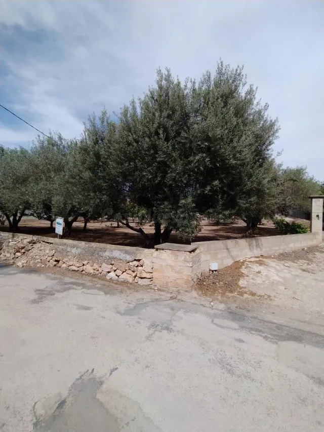 Terreno urbano 41m² en venta - Tortosa - foto 5