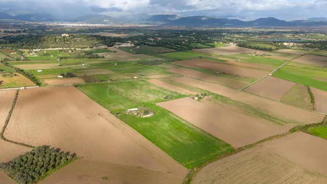 Parcela rústica con proyecto en muro — 5