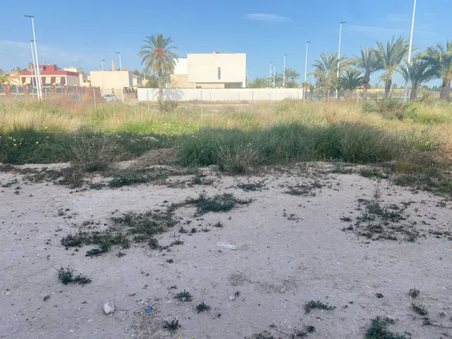 Exclusiva Parcela de 250 metros en La Torreta, Elche — 30