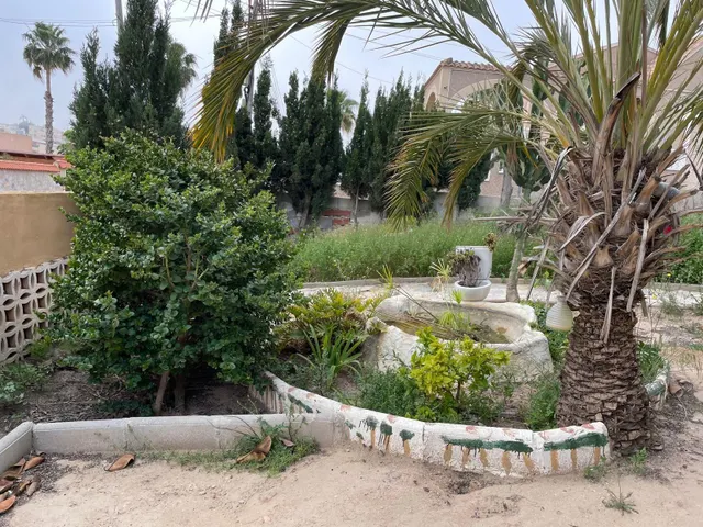 Casa con parcela en Los Balcones, Torrevieja. 5 dormitorios, 2 baños — 21
