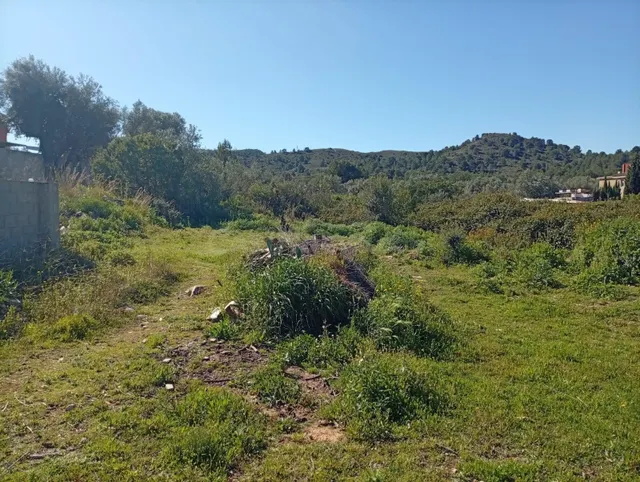 Terreno de de 1.877 m2 en venta en calle Riu Xúquer , Riba-R - foto 4