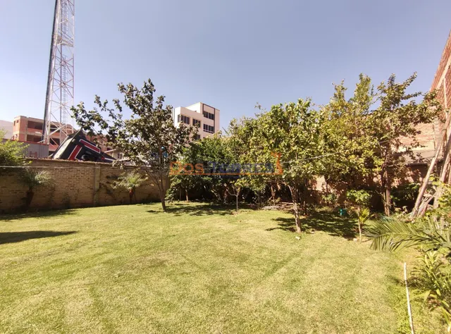 Amplia casa ideal para negocio y vivienda sobre Avenida próx - foto 4